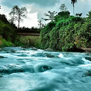 Hotel Rivertree